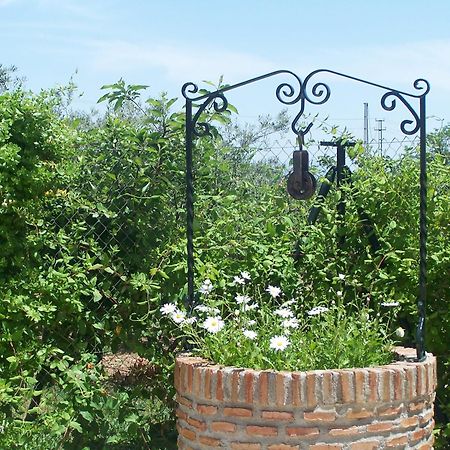 Casa Rural El Rincon Carcabuey エクステリア 写真