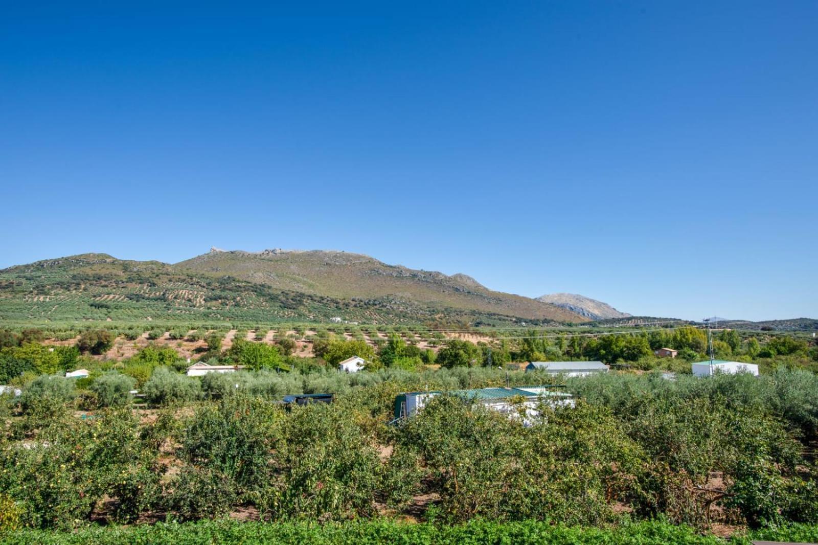 Casa Rural El Rincon Carcabuey エクステリア 写真